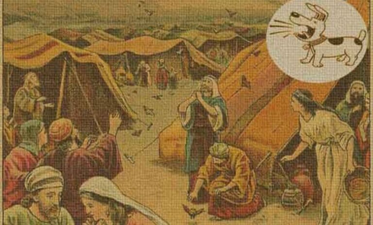 جنت على نفسها براقش ..تعرف على قصة مثل عربي مشهور