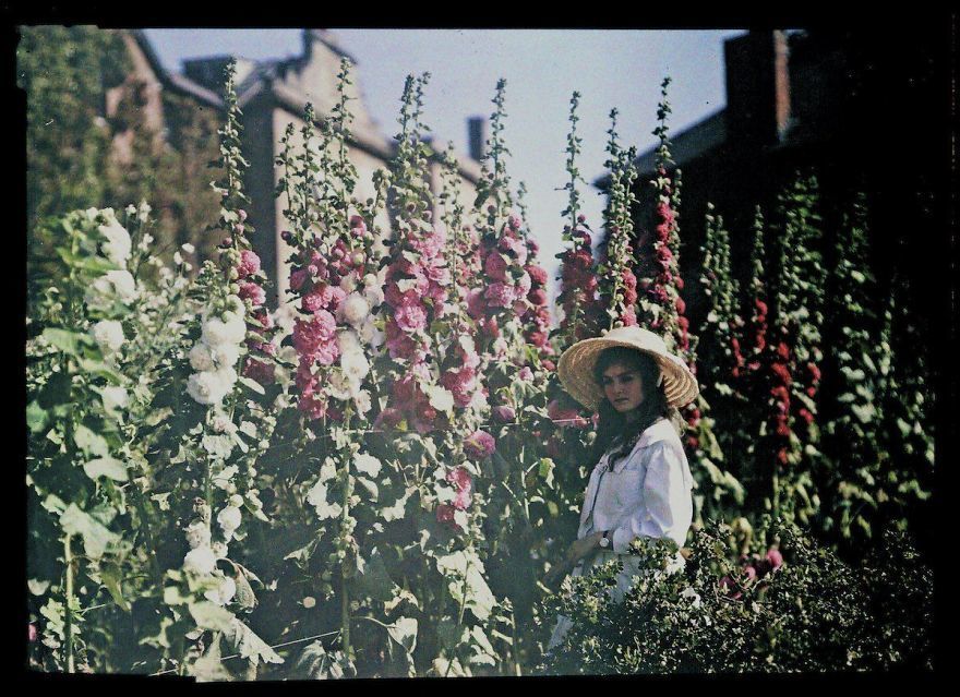 فتاة في بستان مع نباتات الخطمي، سنة 1908