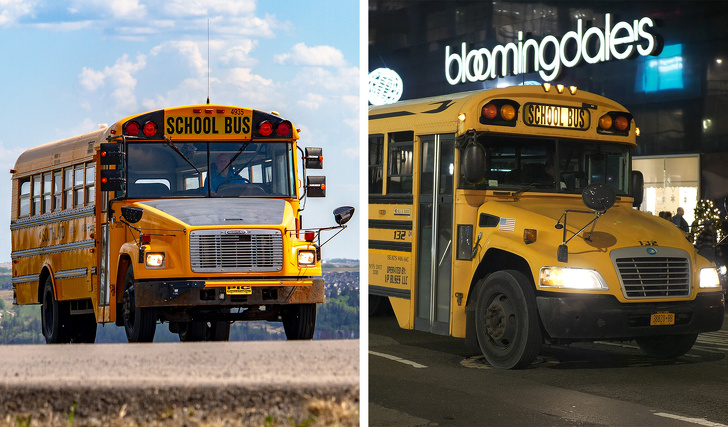 ألوان الحافلات المدرسية