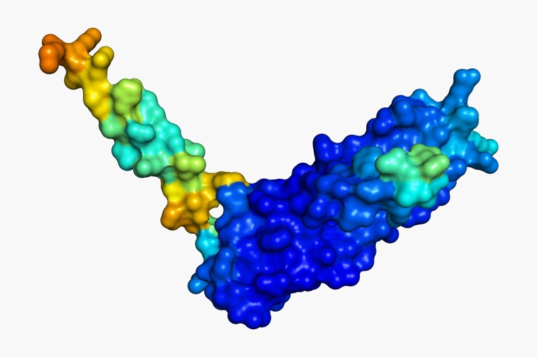 protein structure database