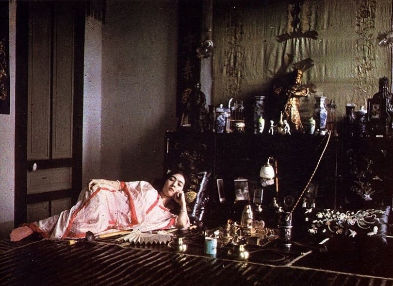 امرأة فيتنامية تستلقي في منزلها، صورة التقطتها عدسات كاميرا المصور (ليون بوسي) وأضيفت إلى مجموعة ”أرشيفات الكوكب“.